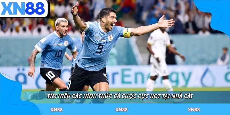 Tìm hiểu các hình thức cá cược cực hot tại nhà cái